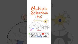 Multiple Sclerosis MS Demyelinating Autoimmune Disease  Part 3…anatomy neuro nurse mbbs [upl. by Pallaton467]