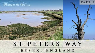 St Peters Way  Part 3 Bicknacre to Maylandsea [upl. by Eifos]