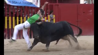 Concurso de Recortes con Toros Arganda del Rey 2014 [upl. by Annabell151]