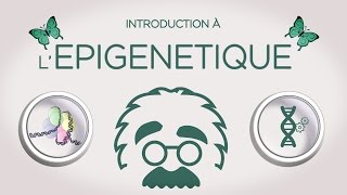 Introduction à lépigénétique  with ENGLISH subtitles [upl. by Fatsug]