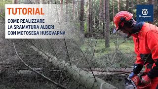 Lavorare con la motosega  Tutorial Sramatura Alberi [upl. by Russian]