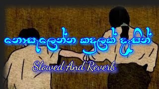 Noselenna Kadulak Desin නොසැලෙන්න කදුලක් Slowed And Reverb  New Sinhala Songs [upl. by Assilaj]