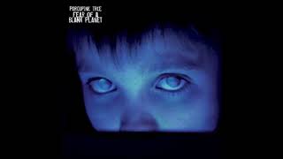 Porcupine Tree  Fear of a Blank Planet 2007 Full Album [upl. by Karlin]