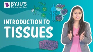 Introduction to Tissues  Class 9 I Learn with BYJUS [upl. by Aya]