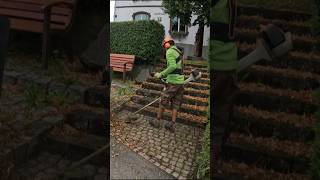 Unkraut entfernen gartenarbeit transformation gärtner gardeningideas gardenscapes diygardening [upl. by Ykceb]