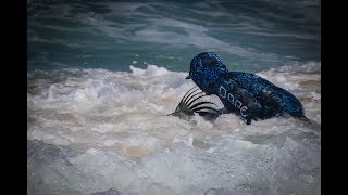 Surffishing for Rooster fish Puerto vallarta Mex [upl. by Nosro]