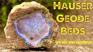 Finding Geodes at the Hauser Geode Beds in California and Getting Them Cut [upl. by Bowen]