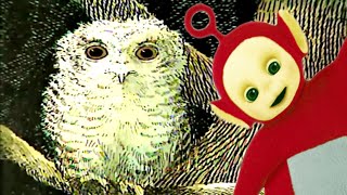 Teletubbies  Baby Owls  Official Classic Full Episode [upl. by Tikna]