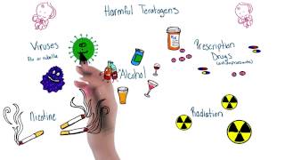 Harmful teratogens  Intro to Psychology [upl. by Haila911]