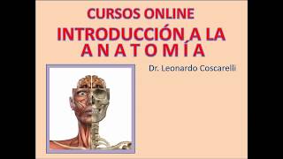 Curso introducción a la anatomía Módulo 1 pptx [upl. by Drapehs]