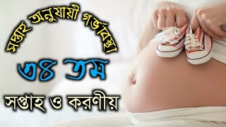 সপ্তাহ অনুযায়ী গর্ভাবস্থা ৩৪ সপ্তাহ  soptaho onujayi gorvabostha 34  34 week pregnancy in bangla [upl. by Aaron]