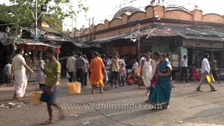 Kalighat temple Kolkata [upl. by Akemahc]