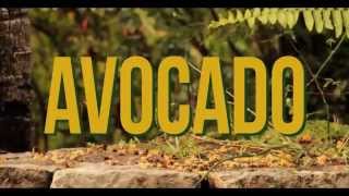 Jah9  Avocado Official Video [upl. by Amsirak]