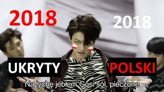 Ukryty Polski w Kpopie 2018 [upl. by Nnylidnarb]