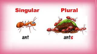 Singular and Plural Nouns  Class 1  CBSE [upl. by Jules732]