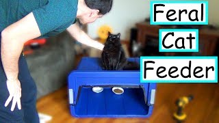 DIY Feral Cat Feeding Station  EASY  CHEAP [upl. by Cora]