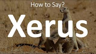 How to Pronounce Xerus CORRECTLY [upl. by Tedi408]