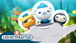 Los Octonautas Oficial En Español  Exploración oceánica veraniega  Episodios Completos [upl. by Lugar]