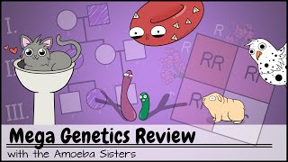 Mega Genetics Review [upl. by Enomis]