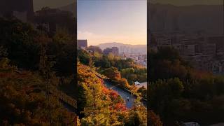 Golden Hour in Autumn Nature’s Perfect Palette shortsvideo autumn [upl. by Ezara]