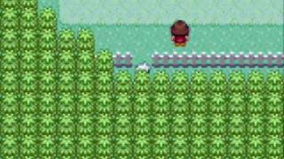 Pokemon Emerald Walkthrough Part 33Route 123 [upl. by Myer]