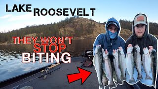 Lake Roosevelt  INSANE evening catching BIG rainbow TROUT [upl. by Kort]