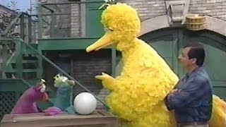 Sesame Street  Hatching a Honker Egg [upl. by Mcfarland]