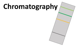 Chromatography [upl. by Ranip]