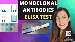 MONOCLONAL ANTIBODIES  The ELISA test Medical treatment diagnosis and ethics for Alevel Biology [upl. by Zennas]