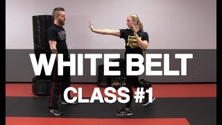 Introduction to Krav Maga  White Belt Class 1 Stance amp Palm Strike [upl. by Einaffyt600]