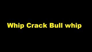 Whip Crack Bull whip  sound effect [upl. by Travis]