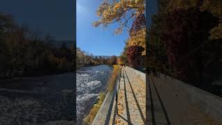 Autumn in Nevada State USA 🔴🇺🇲 subscribe to my channel if you like this video📷 autumn recommended [upl. by Atteram]