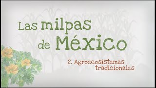 2 Las milpas de México Agroecosistemas tradicionales [upl. by Neehsar]