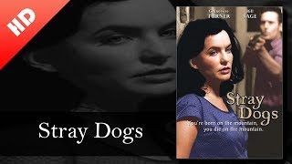 Stray Dogs 2002  HD full movie [upl. by Vasiliki962]