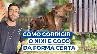 Como corrigir o xixi e cocô da forma certa [upl. by Oliric]