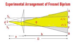 OP211 Fresnel Biprism [upl. by Deeas13]