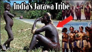 Tribes of Andaman  Jarawa Sentinelese Onge Tribe  Part 1  Dark Ride [upl. by Tadio909]