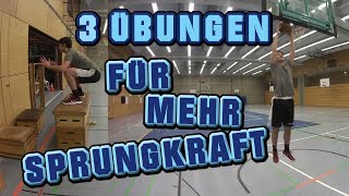 Sprungkraft schnell und effektiv verbessern Dunken lernen [upl. by Ree551]