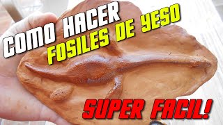 Como hacer fósiles con yeso Paso x paso [upl. by Elleryt312]