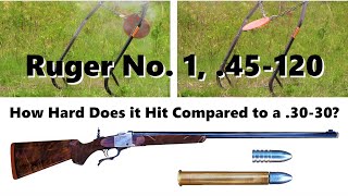 Ruger No 1 chambered for 45120 How Hard Does It Hit Compared to a 3030 [upl. by Perrie]