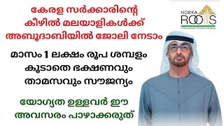 Norka RootsJob Vacancy in abudhabiUae jobs malayalamGulf jobs in malayalam [upl. by Esydnac]