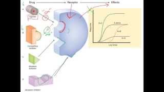 Pharm1 What is Pharmacology Introduction to Pharmacology [upl. by Leuqer]