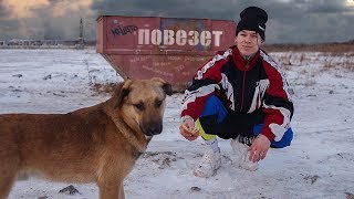 NILETTO  Повезёт mood video 12 [upl. by Schenck]