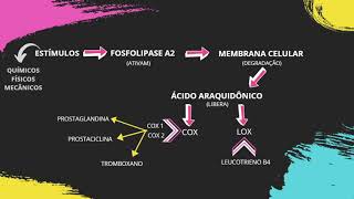 VideBula CASCATA DA INFLAMAÇÃO  VÍDEO 1 [upl. by Anastatius]