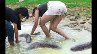 BEST METHOD OF CATCHING FISH Mudfish and Catfish [upl. by Aisereht]