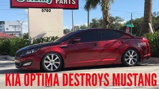 MK7 GTI VS Mustang 50 amp Kia Optima DESTROYS Coyote Mustang [upl. by Malynda794]