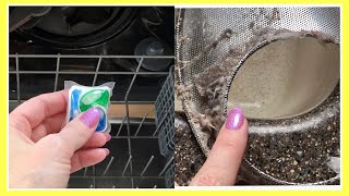 Why I Dont Use DISHWASHER PACKS in My Dishwasher THE TRUTH  Andrea Jean [upl. by Aelc]