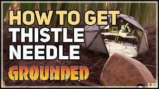 How to get Thistle Needle Grounded [upl. by Lenzi]