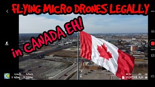 Understanding Canadian Drone Laws For Sub 250g Drones DJI Mini 1 amp 2 [upl. by Anaujnas231]