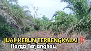 KEBUN TERBENGKALAI MAU DIJUAL‼️ [upl. by Rexfourd]